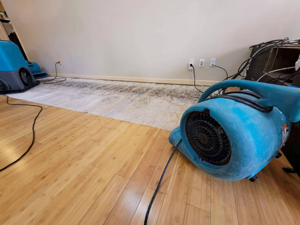 Professional Flood Damage Cleanup technician working in Glendale, AZ